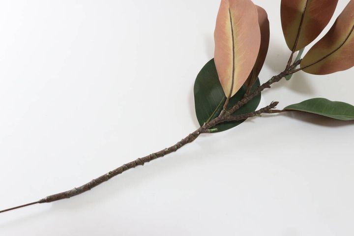 観葉植物 枝 フェイクグリーン 飾り方