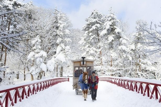 【写真】雪化粧した公園を巡る「ストーブ馬車」