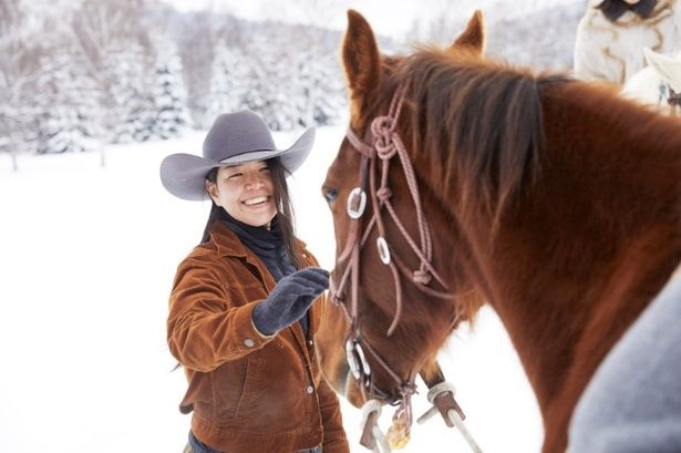 星野リゾート トマムの看板馬「ガロ」との触れ合い