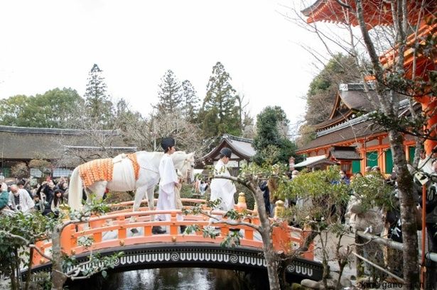 京都府 上賀茂神社「白馬奏覧神事」