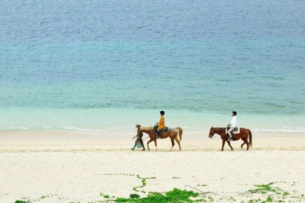 浜辺をゆっくりと散歩する「朝凪よんなー乗馬」