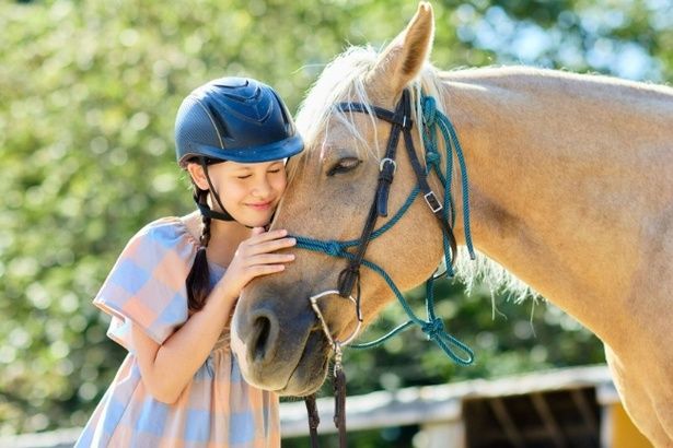 看板馬「デイジー」