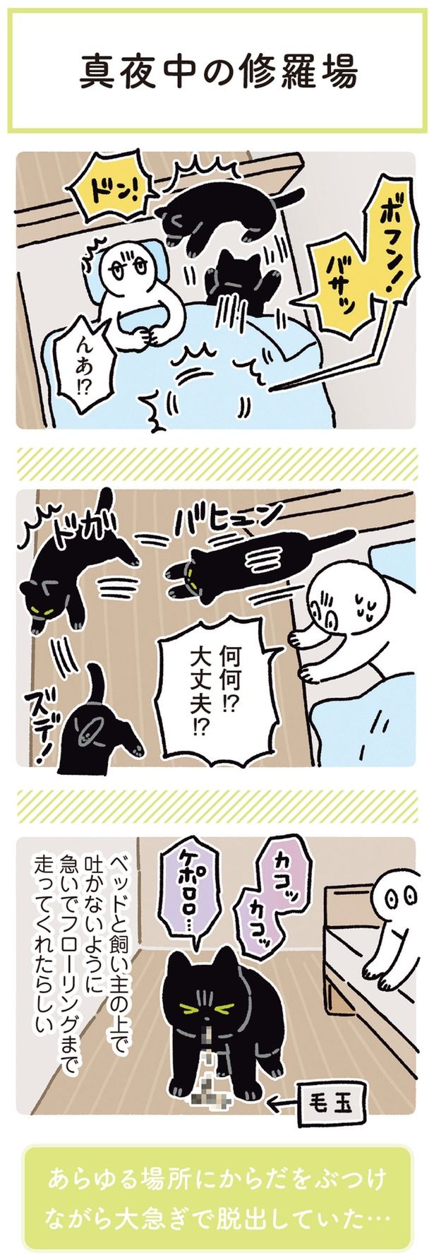 何何！？大丈夫！？ （C）AKR／KADOKAWA