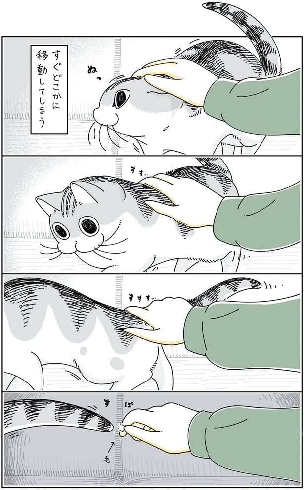 すぐどこかに移動してしまうけど… （C）キュルZ／KADOKAWA