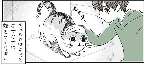 なでなでに飽きやすい （C）キュルZ／KADOKAWA