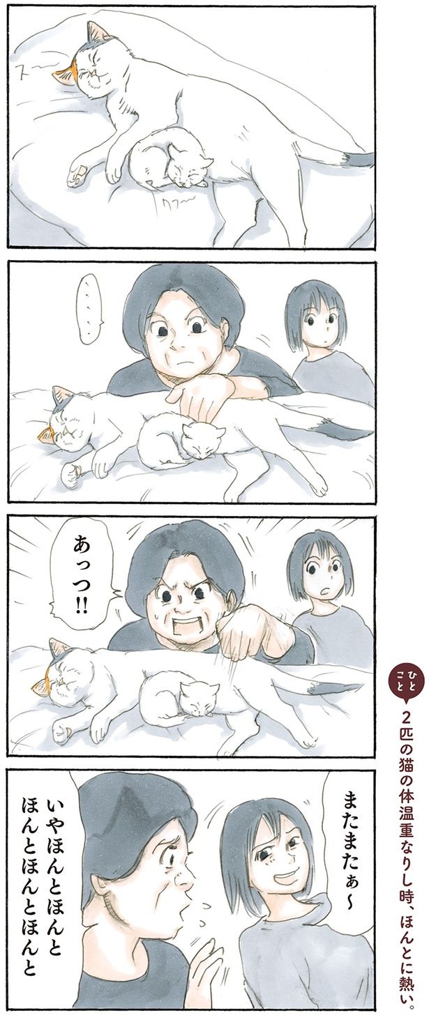 あつあつ （C）にごたろ／KADOKAWA