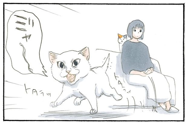 お父さんが帰ってきた！ （C）にごたろ／KADOKAWA