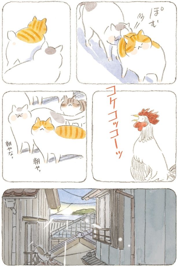 朝やなっ （C）ねこまき（ミューズワーク）／KADOKAWA