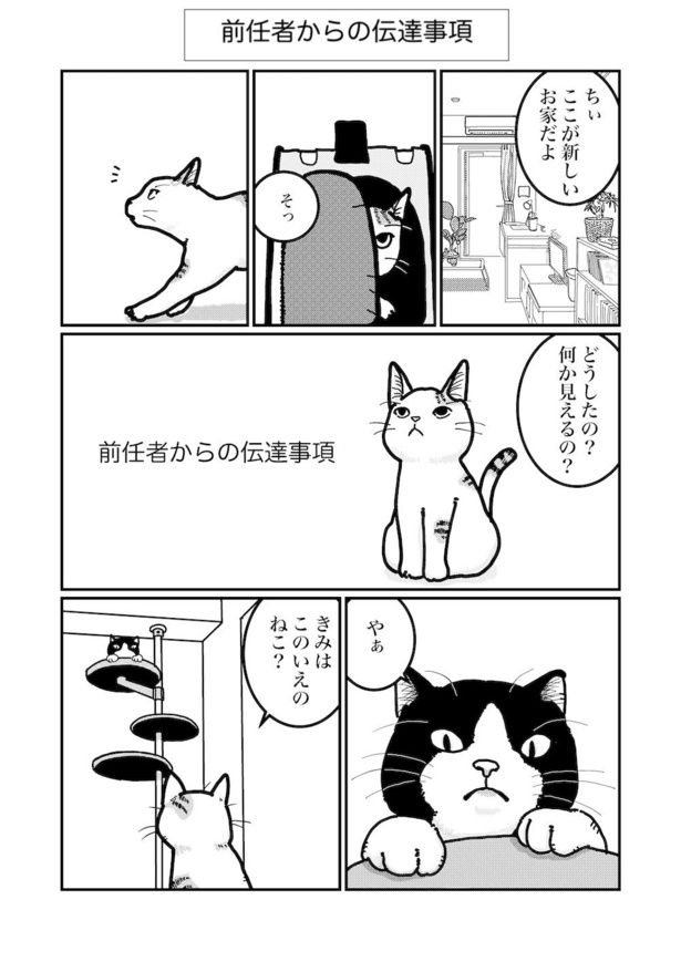 前任者からの伝達事項(1) 画像提供：白熊便利軒ホセ(@sasadebris)