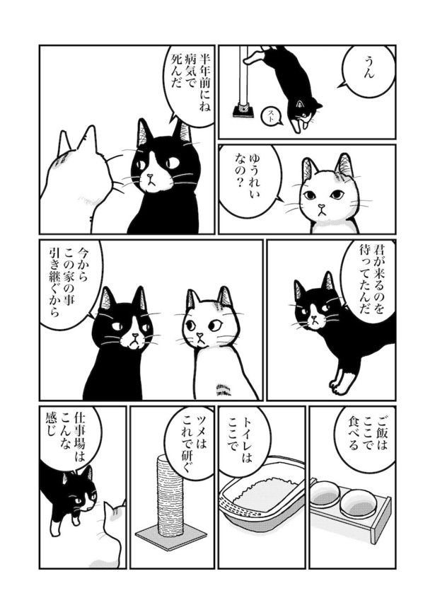 前任者からの伝達事項(2) 画像提供：白熊便利軒ホセ(@sasadebris)