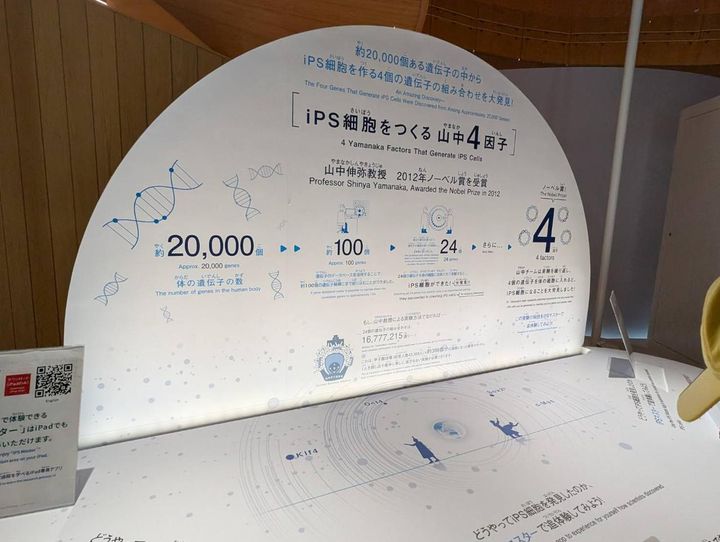 画像1: iPS細胞が秘める再生医療の可能性