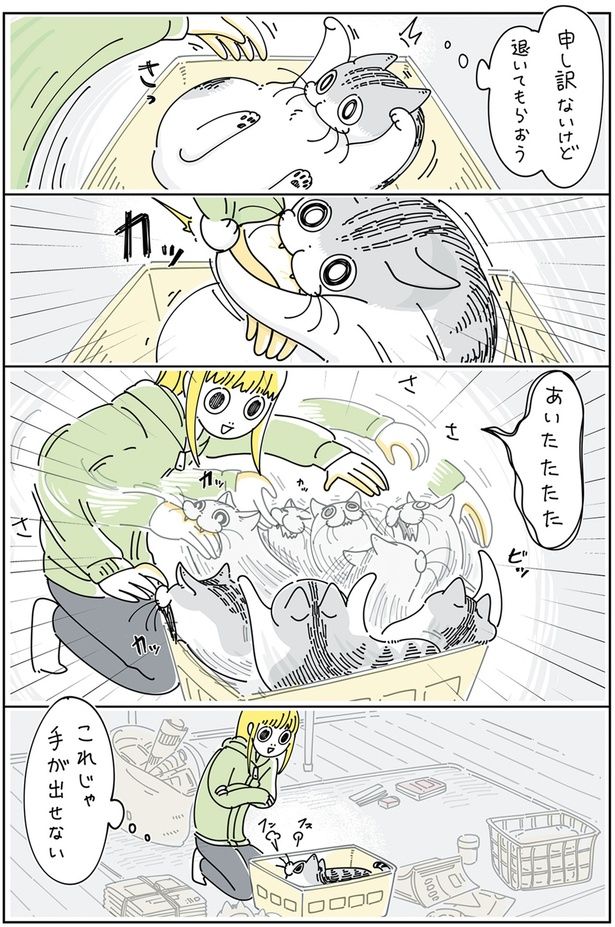 申し訳ないけど退いてもらおう （C）キュルZ／KADOKAWA