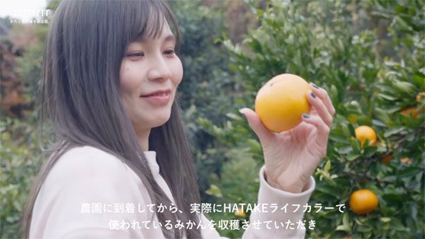 福岡発サステナブルブランド「rrrrrrrrr」みかんの果皮などで染めたスウェットを発売