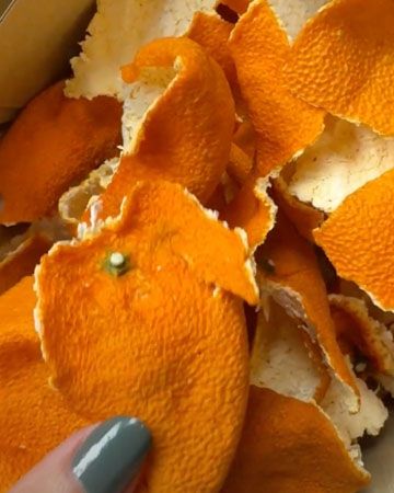 福岡発サステナブルブランド「rrrrrrrrr」みかんの果皮などで染めたスウェットを発売