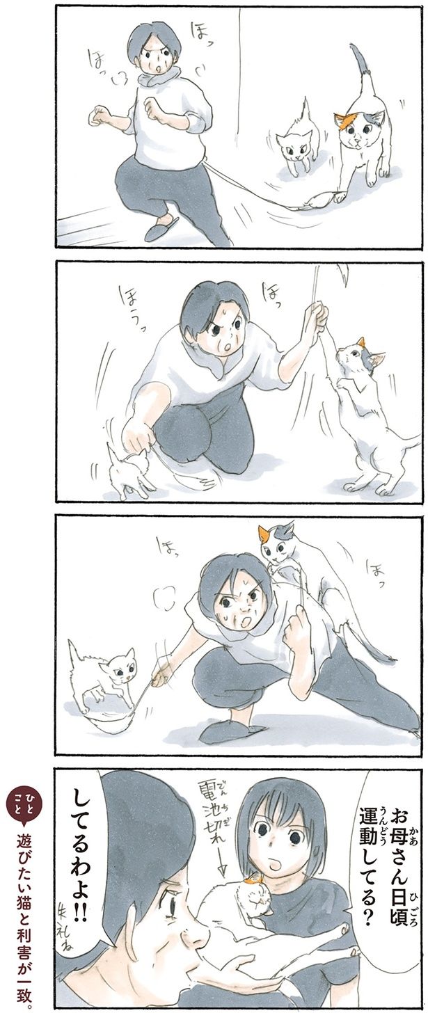 日頃の運動 （C）にごたろ／KADOKAWA