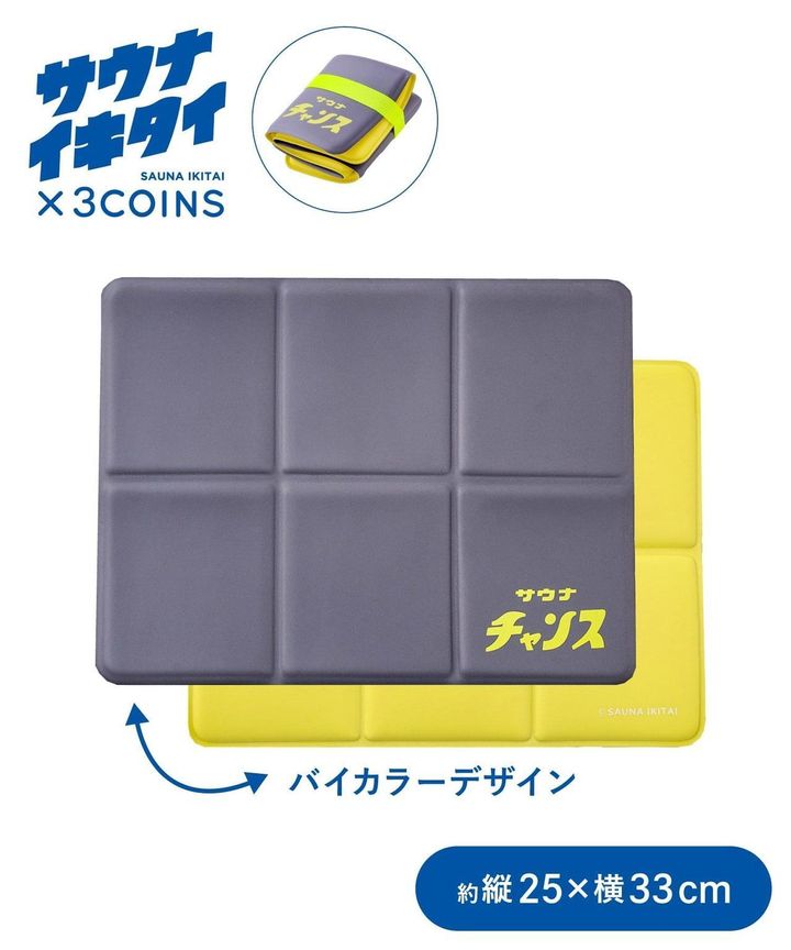 画像2: 出典：3COINS