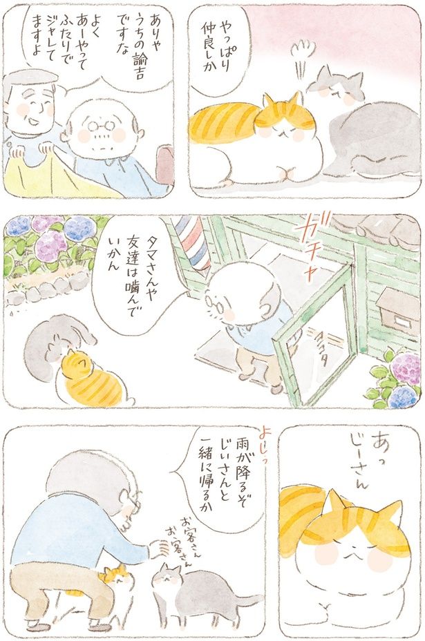 やっぱり仲良しか （C）ねこまき（ミューズワーク）／KADOKAWA