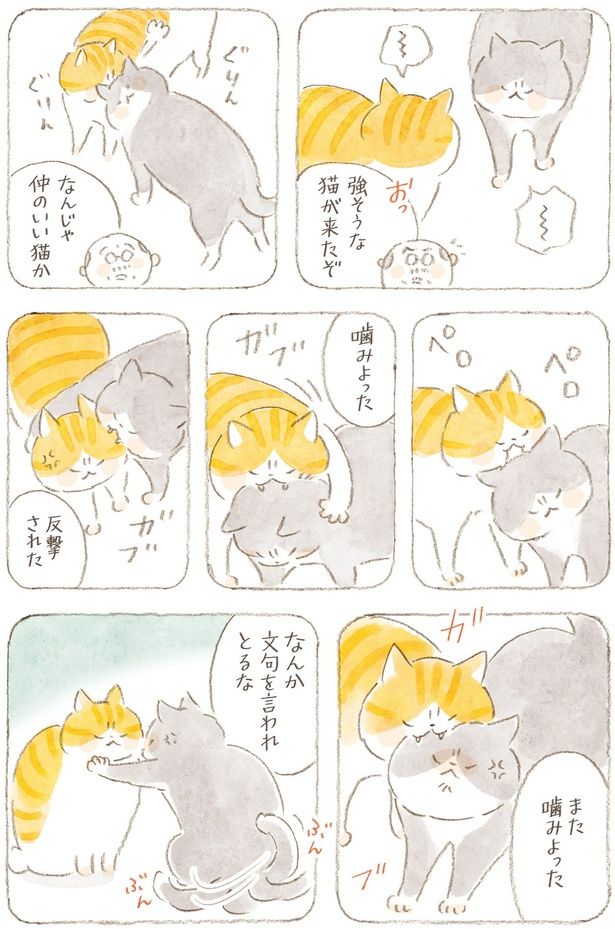 噛みよった （C）ねこまき（ミューズワーク）／KADOKAWA