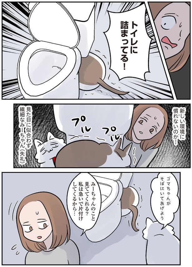 見た目に似合わず繊細 (C)こばん／KADOKAWA