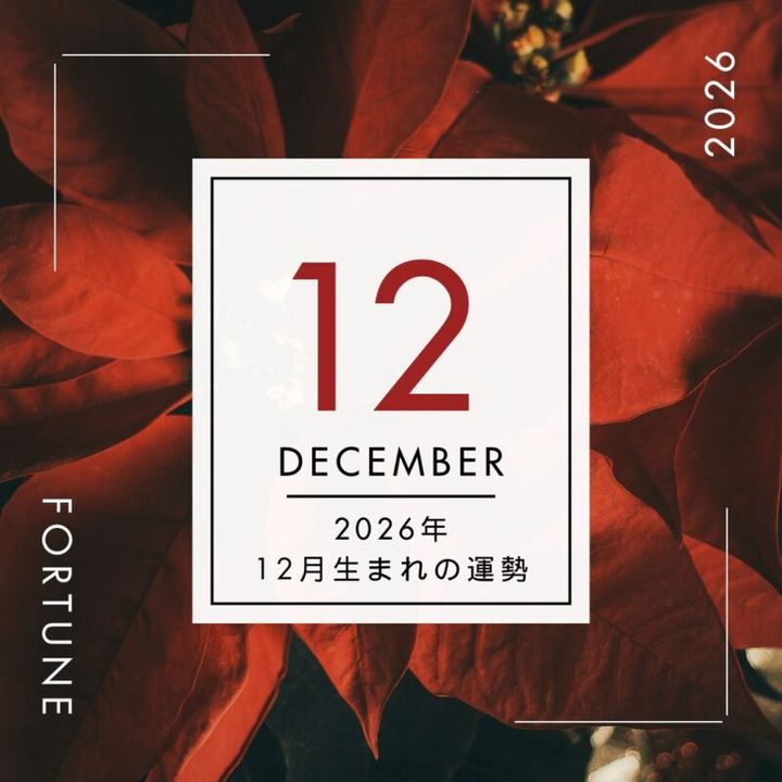 2026年、算命学で占う運勢・12月生まれ