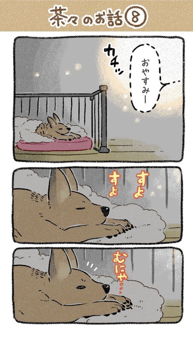 保護犬茶々のお話【第8話】(1) 画像提供：(C)ヨシモフ郎／KADOKAWA