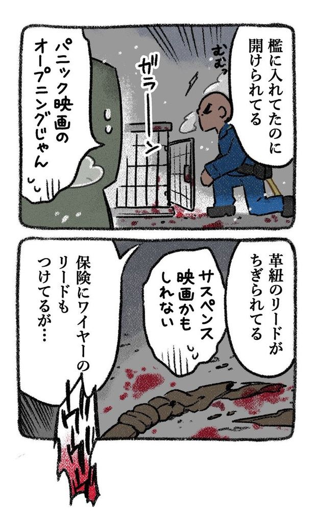 保護犬茶々のお話【第3話】(3) 画像提供：(C)ヨシモフ郎／KADOKAWA