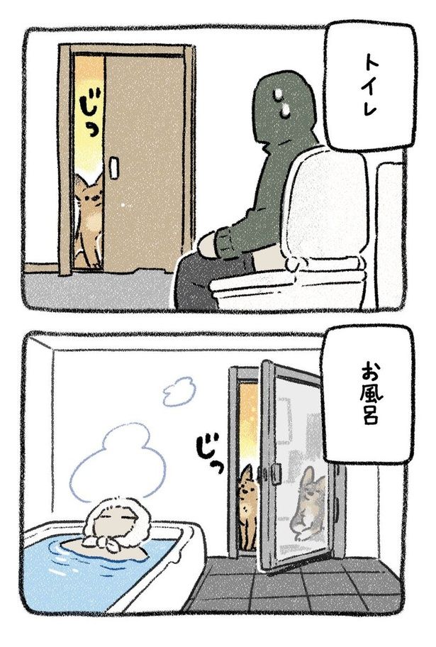 保護犬茶々のお話【第12話】(3) 画像提供：(C)ヨシモフ郎／KADOKAWA