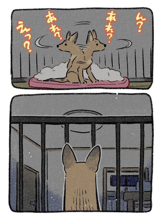 保護犬茶々のお話【第8話】(2) 画像提供：(C)ヨシモフ郎／KADOKAWA