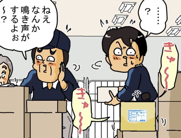 宅配の箱から鳴き声が!? 画像提供：ゆきたこーすけさん(@kosukeyukita)
