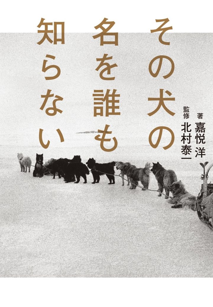 「その犬の名を誰も知らない」嘉悦 洋