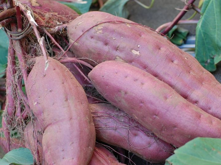 All About ニュース編集部が全国250人を対象に実施した「埼玉県のお土産に関するアンケート」の調査結果から、埼玉県らしさを感じる「1700円以上のお土産」ランキングを発表！ 2位「いも恋」を抑えた1位は？