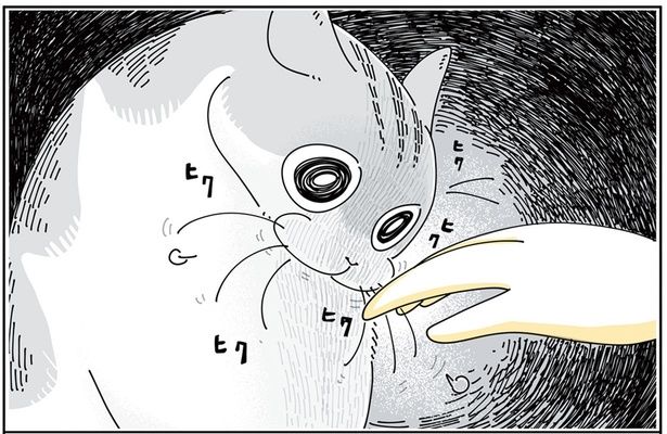 取り調べモード…？ （C）キュルZ／KADOKAWA