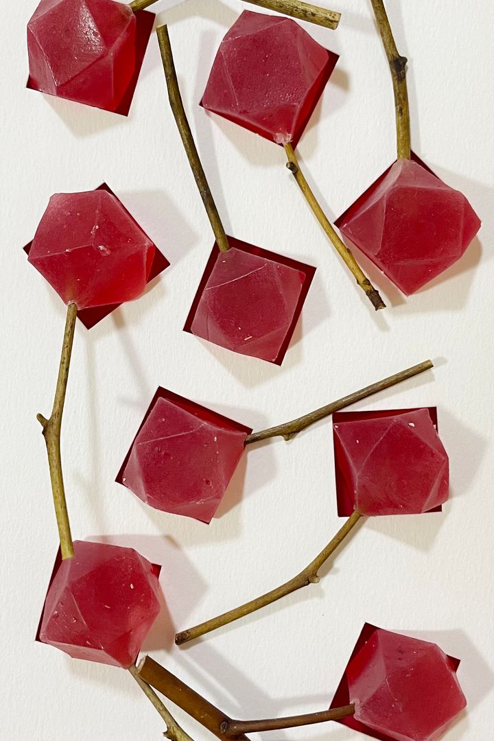 お年賀スイーツ2026◇ 新年のご挨拶におすすめの和菓子15選【ささやかですてきなもの まとめ 大谷有紀】