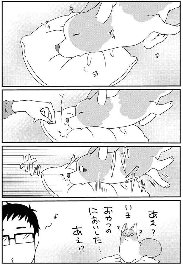 あえ？いま おやつのにおいした…あえ！？ (C)らくだ／KADOKAWA