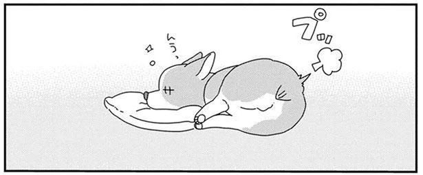 「何の音!?」自分のオナラにびっくりしちゃった愛犬がウロウロ (C)らくだ／KADOKAWA