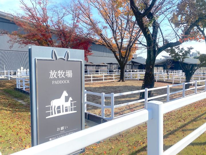 「馬事公苑」放牧場