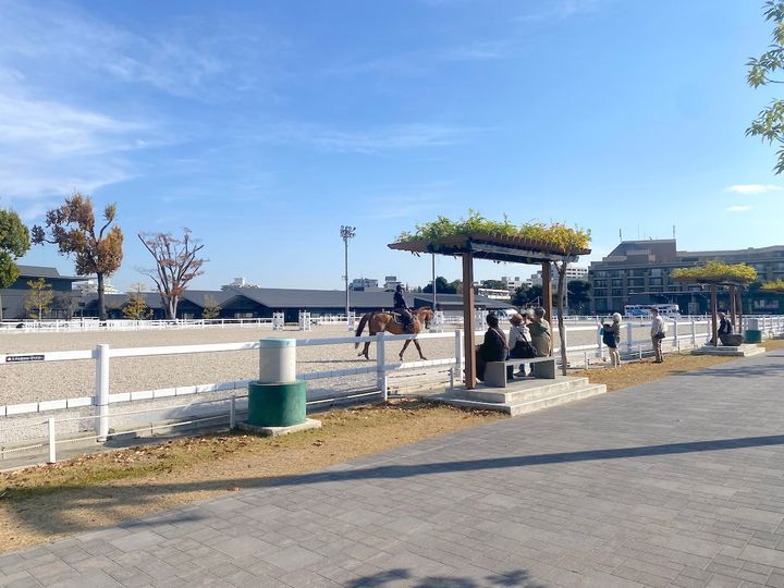 「馬事公苑」イメージカット