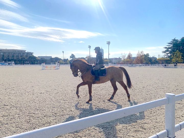 「馬事公苑」練習馬場2