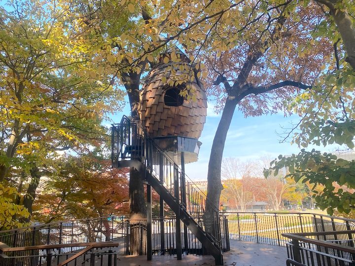 「馬事公苑」武蔵野自然林2