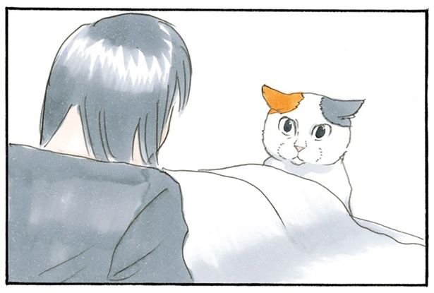 イタズラを叱ると… （C）にごたろ／KADOKAWA