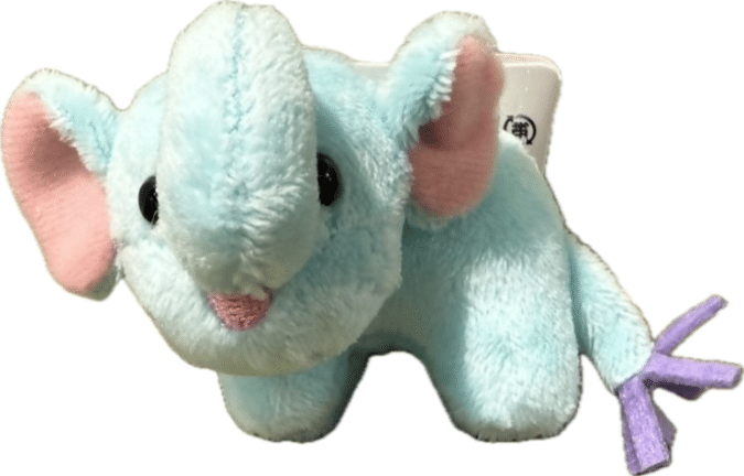 福岡市動植物園 新春お年玉イベント ゾウのマグネット