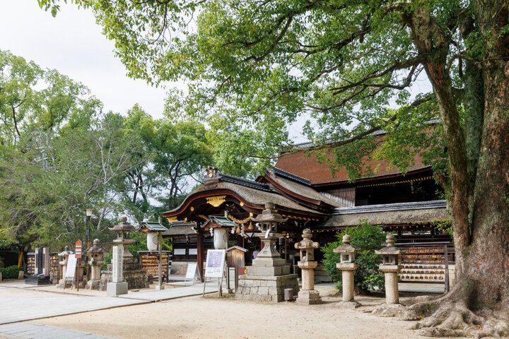 2026年の運を開く、馬とゆかりのある京都の3つの神社でご利益祈願♪