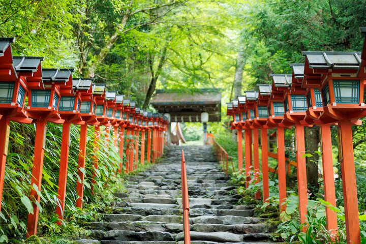 2026年の運を開く、馬とゆかりのある京都の3つの神社でご利益祈願♪