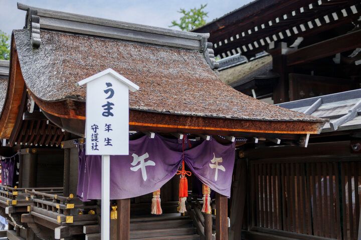 2026年の運を開く、馬とゆかりのある京都の3つの神社でご利益祈願♪