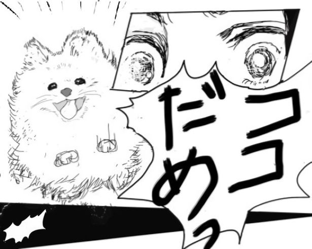 飼い主のことが大好きで飛び出してしまい…!! 送達ねこ(@jinjanosandou)