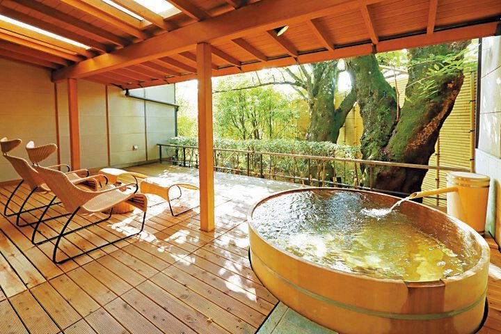 【イヴルルド遙華監修】星が導く幸運の新年へ♪2026年あなたの運命が輝く旅の8テーマ