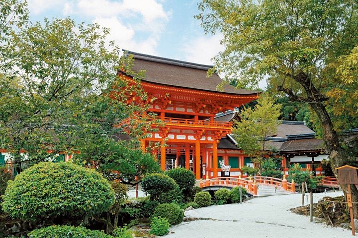 【イヴルルド遙華監修】星が導く幸運の新年へ♪2026年あなたの運命が輝く旅の8テーマ