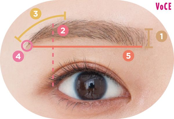微アーチ眉ガイド