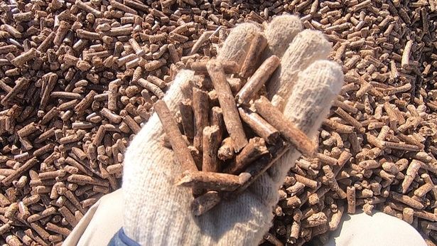 生物資源を活用する「バイオマス発電」の課題とは？ （C）kentaganhando／PIXTA