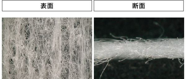 02：オルビス 表面 断面
